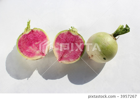 Red Core Daikon Red Core Daikon 3957267