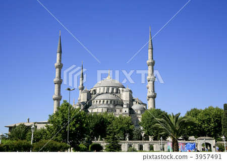 藍色伊斯坦布爾清真寺 3957491