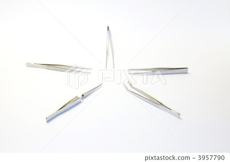 鑷子 鑷子 3957790