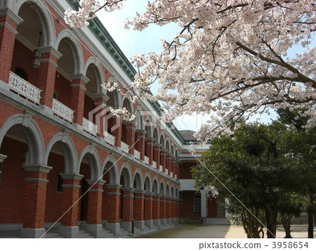 櫻花與紅磚同步（Etajima海軍學院） 3958654