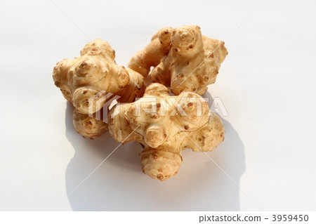 Jerusalem artichoke 3959450