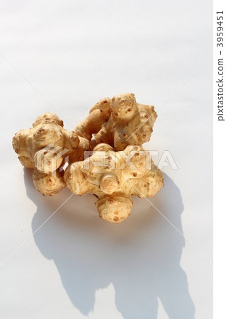 Jerusalem artichoke 3959451