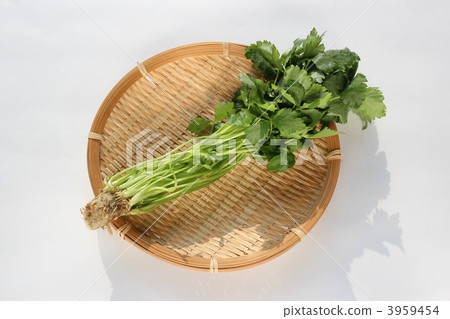 三片葉子 3959454