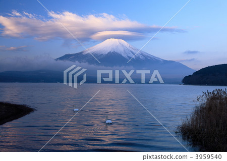 山中湖的早晨視圖 山中湖的早晨視圖 3959540