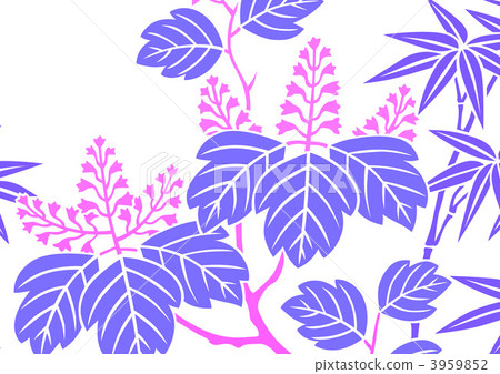 Paulownia, paulownitree, auger 3959852