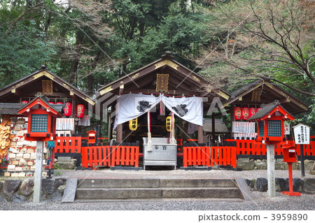 Nomiya Shrine 3959890