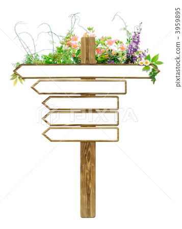 blank expression, environment, foliage 3959895