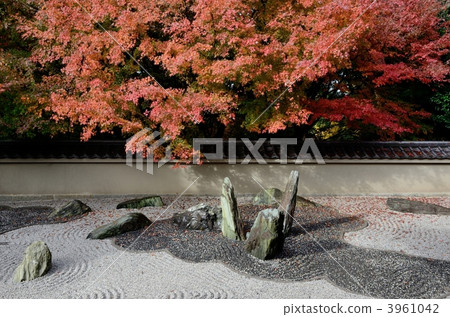 Long Garden, West garden 3961042