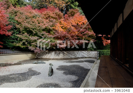 Longian, Edge and West garden 3961048