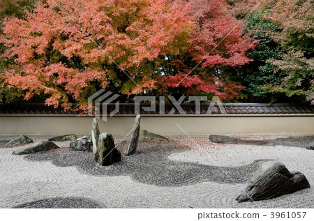 Long Garden, West garden 3961057