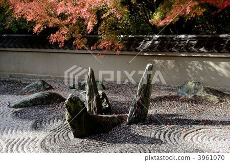 Long Ooan, Aoishi in the western garden Long Ooan, Aoishi in the western garden 3961070