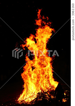 Grilling donkey 3961160