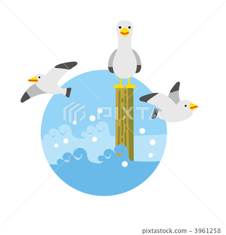sea bird, seabird, seabirds 3961258