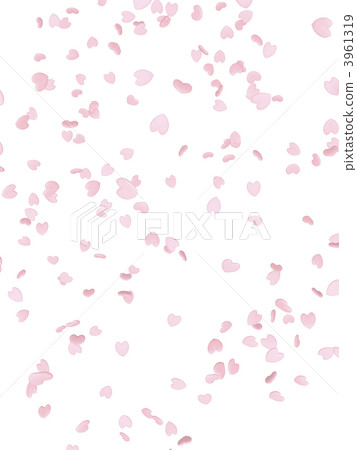 Cherry petals Cherry petals 3961319