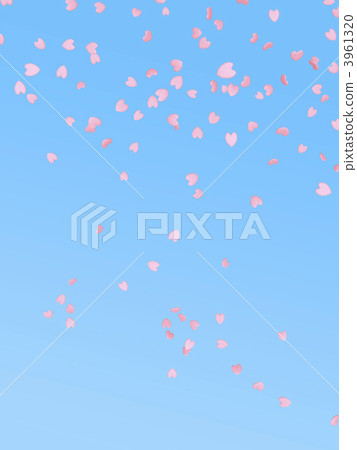 Cherry petals Cherry petals 3961320