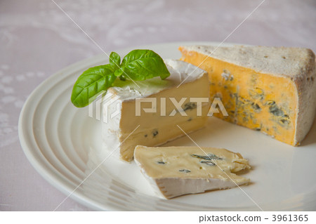 藍芝士德國柬埔寨（CAMBOZOLA）和波蘭拉力賽（LAZUR，黃人） 3961365