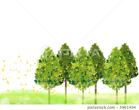 雪松花粉 雪松花粉 3961494