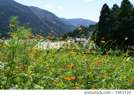 Mount Rayato Kyoto Univ. 3961520