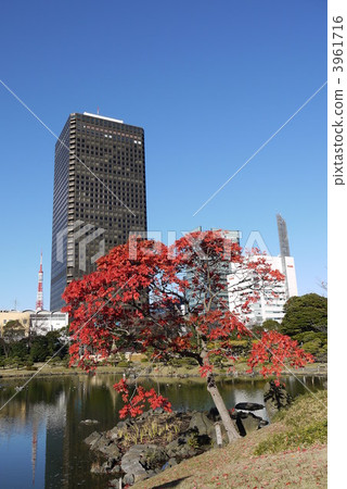 Autumn leaves and trade center building of the goby trees of the old Shiba Rikyu Imperial Garden 3961716