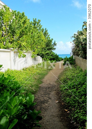 The way to Lanikai beach 3962070