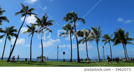 卡皮歐拉尼公園 卡皮歐拉尼公園 3962073