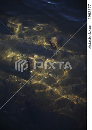 Lake bottom 3962277