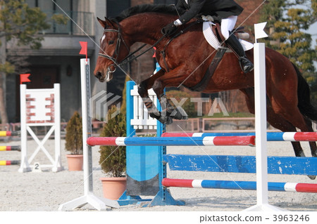 Equestrian Event 3963246
