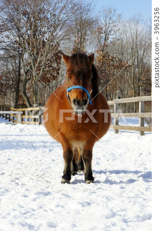 微型軟管 微型軟管 3963256