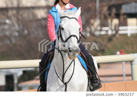 Equestrian Event Equestrian Event 3963257