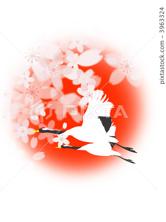 Cranes and cherry blossoms 3963324