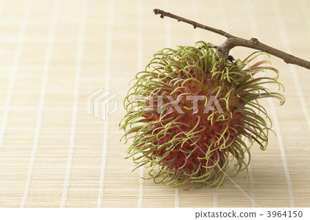 Rambutan Rambutan 3964150