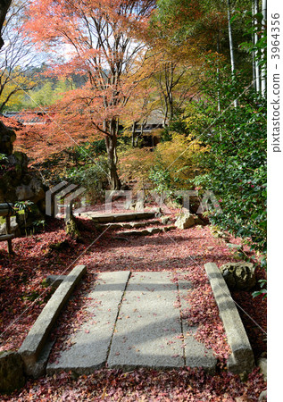 納金安的方法 3964356