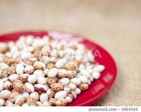 Turtle soup bowl (red dish) 3964508