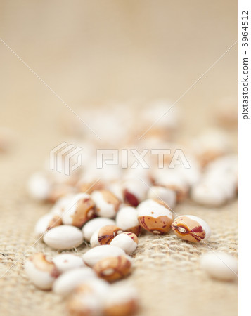 Balanced tiger bean (vertical) 3964512