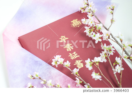 graduate, graduation, diploma 3966403