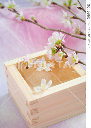 Cherry blossom image 3966408