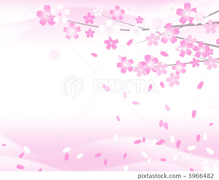 櫻花 3966482