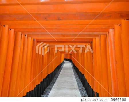 Senbon Torii 3966568