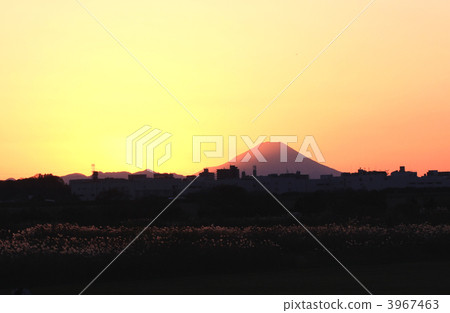 從茨城縣的Toride市看到的富士山 3967463