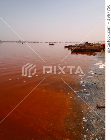 塞內加爾:Lac Rose 塞內加爾:Lac Rose 3967750