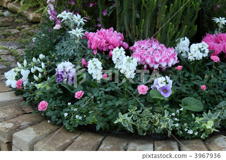 flower bed  flower bed  3967936