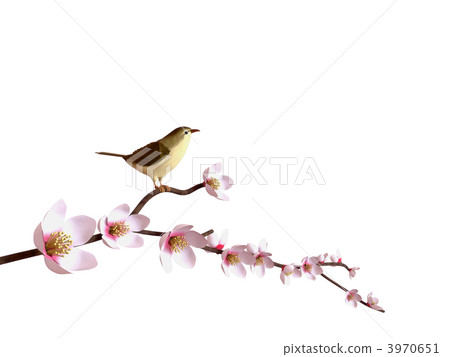 梅和葫蘆 3970651