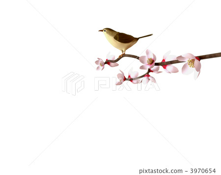 Ume and gourd Ume and gourd 3970654