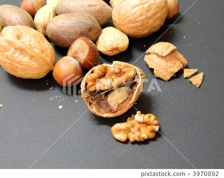 Cracked walnut 3970892