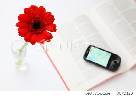 紅色花朵和電子產品 紅色花朵和電子產品 3972129