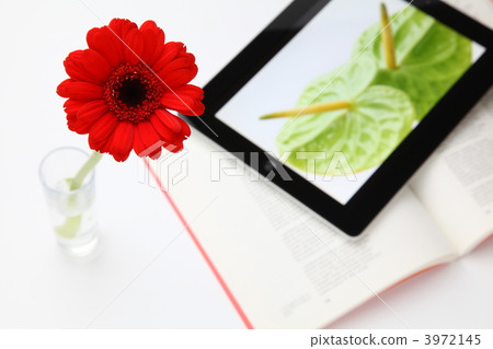 Red flowers and electronics Red flowers and electronics 3972145