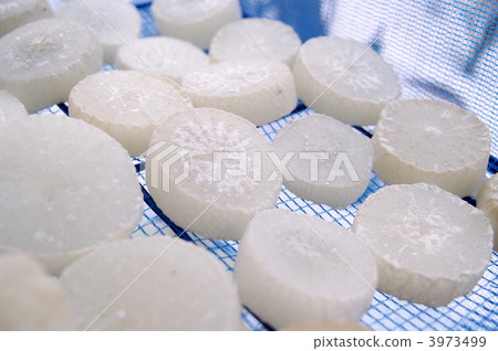 冷凍蘿蔔製作 3973499