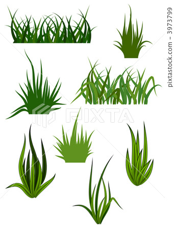 Green grass patterns Green grass patterns 3973799