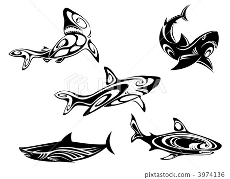 Shark tattoos 3974136