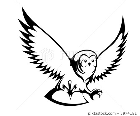 Flying owl Flying owl 3974181